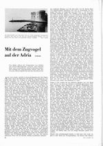 Mit dem Zugvogel auf der Adria