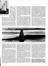 s1965-19-0019