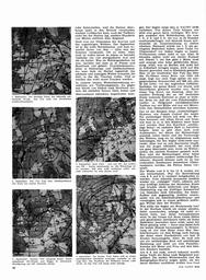 s1965-20-0062