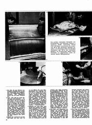 s1966-06-0036