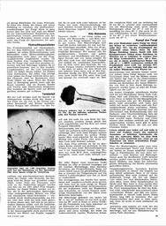 s1966-06-0039
