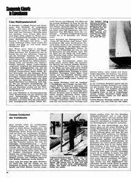 s1966-19-0040