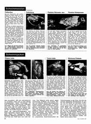s1967-02-0026
