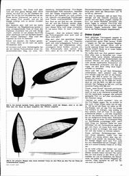 s1968-16-0019
