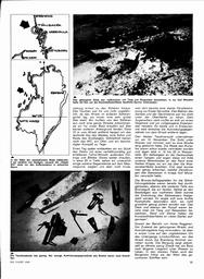 s1968-16-0021