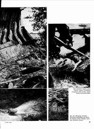 s1969-19-0067