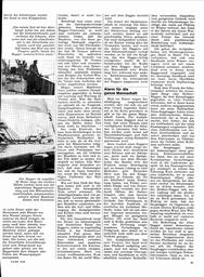 s1969-21-0061