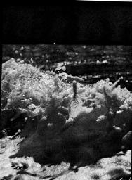 s1970-04-0029