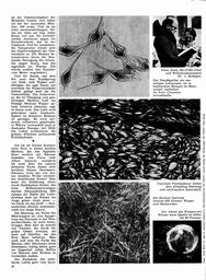 s1970-04-0030