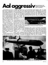 Torpedos in der Ostsee: Aal aggressiv