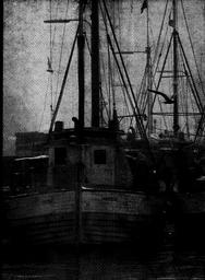 s1970-08-0036
