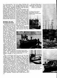 s1970-08-0040