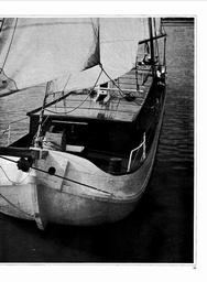 s1970-21-0029