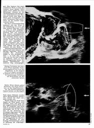 s1971-01-0067