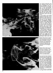 s1971-01-0068
