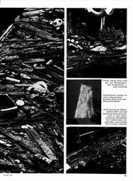 s1971-03-0063