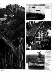 s1971-03-0069