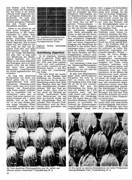 s1971-07-0058