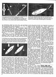 s1971-12-0072