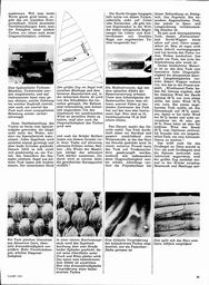 s1971-17-0035