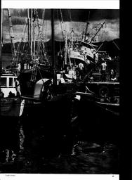 s1971-25-0049