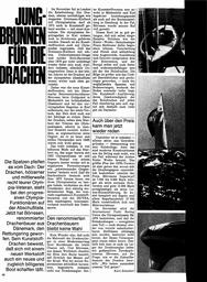 Drachen aus Kunsttoff
