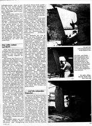 s1972-01-0107