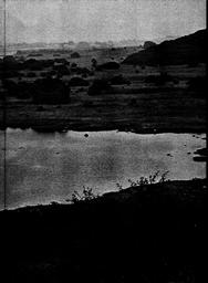 s1972-02-0049