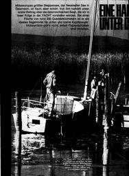Neusiedler-See in Österreich