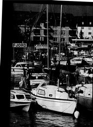 s1972-19-0074