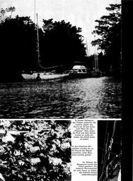 s1973-02-0034