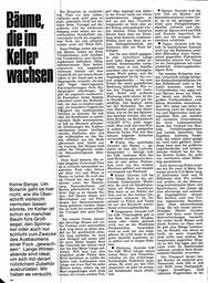 Fockbäume und andere im Eigenbau