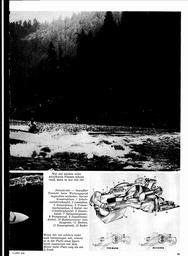 s1973-04-0099