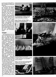 s1973-15-0072