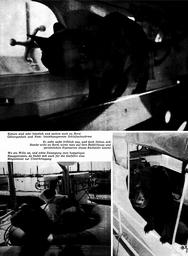 s1973-17-0048