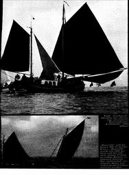 s1973-19-0133