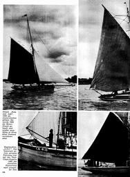 s1973-19-0134