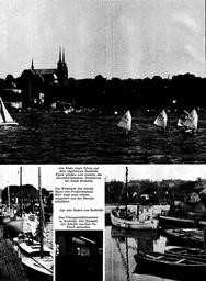 s1973-22-0050