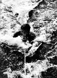 s1973-23-0065