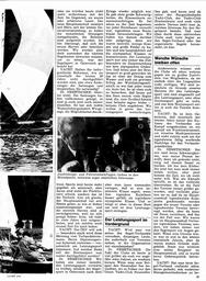 s1974-01-0087