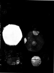 s1974-03-0029