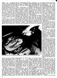 s1974-04-0056