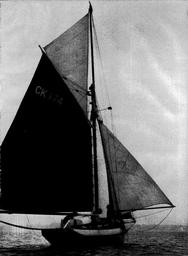 s1974-08-0081