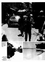 s1974-19-0098