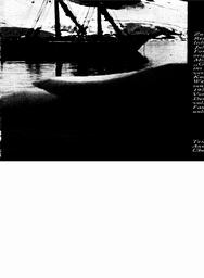 s1974-20-0047