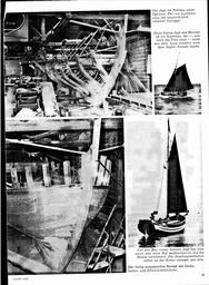 s1975-16-0031
