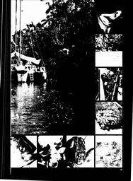 s1975-18-0029