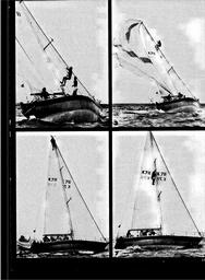s1975-21-0177