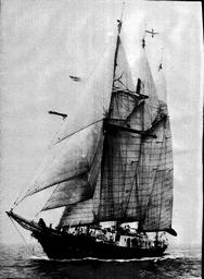 s1976-05-0054