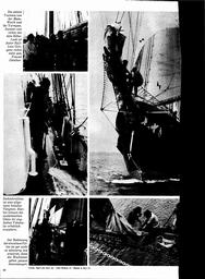 s1976-05-0056